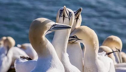 锡林郭勒盟最新的高价医保个人账户余额微信查询方法分享(锡林郭勒盟医保查询个人账户明细怎么查微信教程)